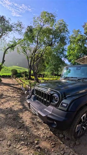 arivikad tea bungalow munnar