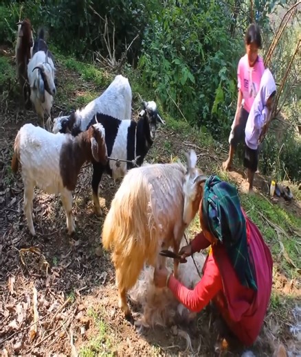 1.4K views · 39 reactions | Cooking and eating food by using primitive technology Daily life and Work in village | 99M | Facebook