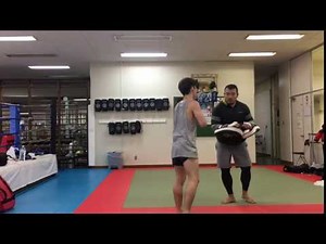 平本蓮選手の連続ミドルキック