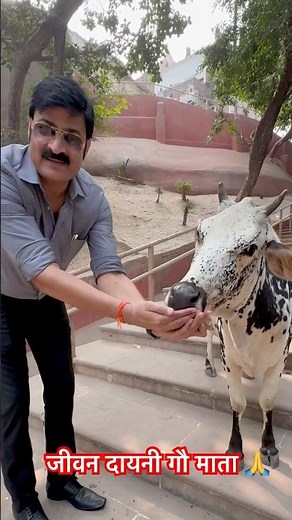 कोई कह दे #maa #gaumata #motivation