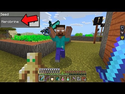 Top 3 Seeds to Find HEROBRINE in Minecraft Pocket Edition