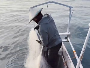 1.1M views · 10K reactions | Boiling skipjack tuna | Zami Akbar | Facebook