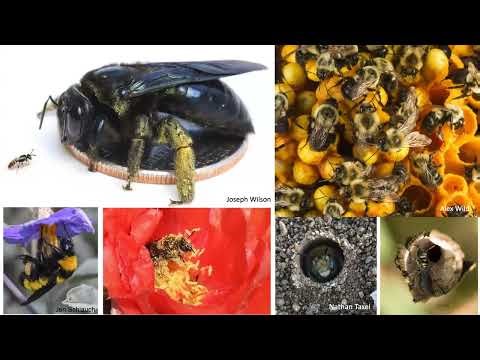 CNPS OC March 2026 Public Meeting