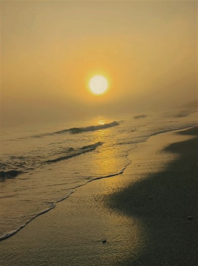 ‏#creatorsearchinsights BabW