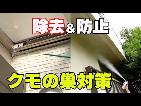 【徹底クモの巣対策】クモの巣除去 クモの巣防止 くもの巣を晴らせない方法 くもの巣キャッチャー クモの巣消滅ジェット 蜘蛛駆除対策 害虫駆除 クモ用殺虫剤のご紹介！