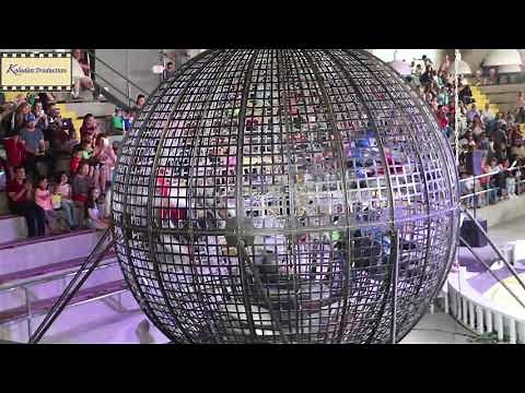 Garden Bros Circus The Caged Motorcycle Riders The Most Dangerous Motorcycle Moves