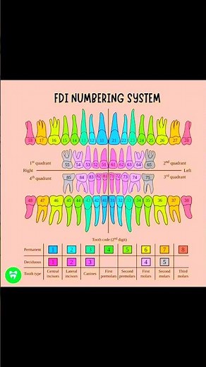 FDI numbering system of teeth