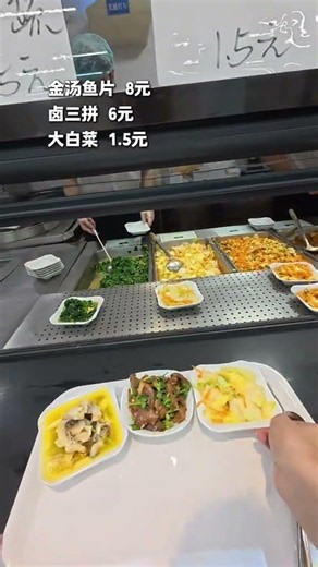 20 Yuan Daily Meal Budget Challenge: Canteen Life Unveiled