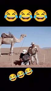 Daily Jokes on Reels