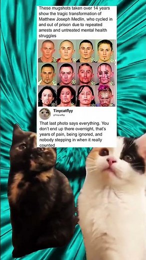 These mugshots taken over 14 years show the tragic transformation of Matthew Joseph Medlin