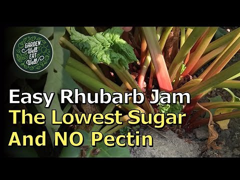 The Easiest RHUBARB Sauce And Jam! Very LOW Sugar & NO Pectin! Plus How You Should Pick It Too
