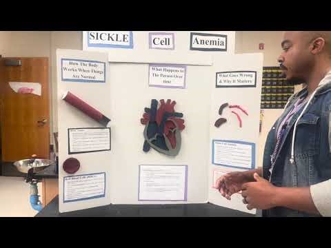 Example End of the year project