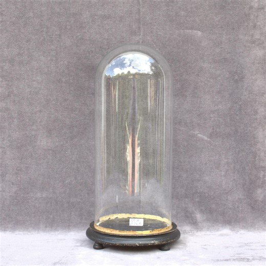 Antique French Glass Dome 13.77 X 5.70 Inch Victorian Bell Jar Display 35 X 14.5 Cm Authentic Home Decor - Etsy UK