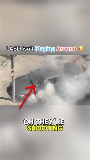 That's How You Catch a Stolen Vehicle 🚨 #police #bodycam #cod3