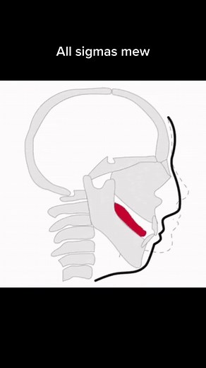 Improving Jawline Definition with Mewing Techniques