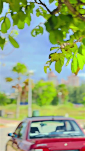 Proton Wira Modified: 7-Day Challenge Highlights