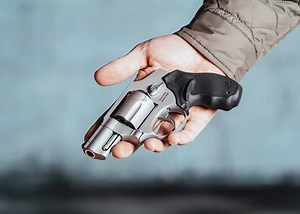 The Taurus 650 Revolver Returns