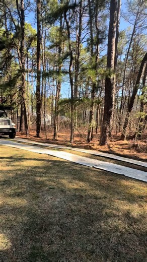 Professional Tree Removal Service in NJ