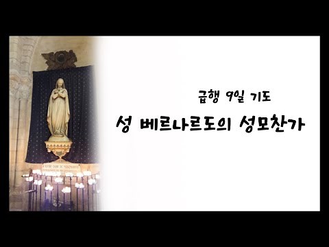 급행 9일 기도 ✝️ 성녀 마더데레사께서 바치셨던_[성 베르나드로의 성모찬가]