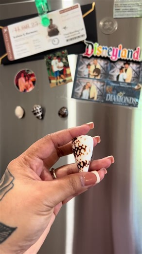 We love a good DIY shell project 😍🥰 #oahu #shells #hawaiitiktok #fyp #diy