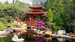 Chinese Heeljob Stock Footage & Videos - 159,311 Stock Videos
