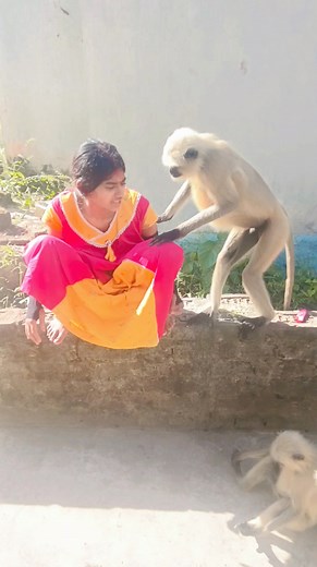 Hanuman years keya kar raha ha🤣🤣 #hanumanji #funnyvideos | Chiranjit Nandi