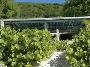 Jost Van Dyke....Kenny Chesney