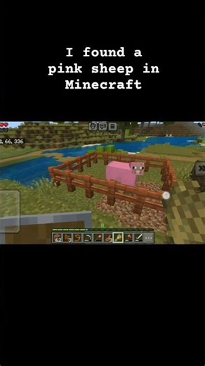 i found a pink sheep in miminecraft #mincraft #shorts #shortvideo