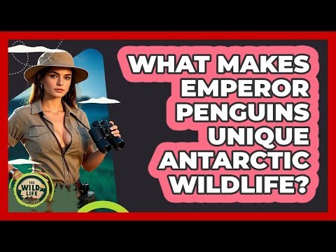 What Makes Emperor Penguins Unique Antarctic Wildlife? - The Wild Life Explorer