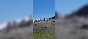 Alan Huang on Reels | Facebook