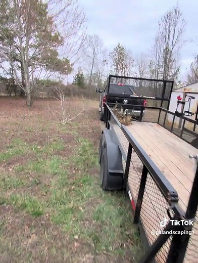 Stump Grinding Pricing: How Much Do You Charge?