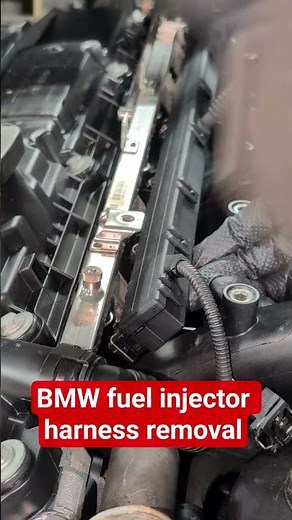 BMW fuel injector harness removal #automobile #bmwengine #bmwm54 #mechanic #m52tu #N52 #S54 #S62