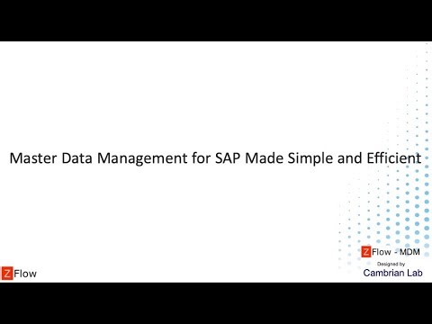 SAP Master Data Management Made Simple