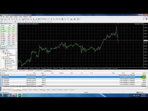 Watch AmobixEA Dominate Live Forex Trading – Real Account Results!