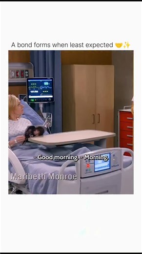 meme l movies l clips on Instagram: "💥 Title: Bob Hearts Abishola (2019–Present) 🎬 Genre: Comedy | Romance | Sitcom ⏱️ Runtime: 4+ Seasons | ~22 min/episode ⭐ IMDb Rating: 6.6/10 🔥 Storyline: Bob Hearts Abishola follows Bob, a middle-aged businessman recovering from a heart attack, who unexpectedly falls for his nurse, Abishola, a Nigerian immigrant. ❤️💉 The series humorously explores cross-cultural romance, family dynamics, and the challenges of love across different backgrounds, blending h