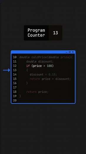 The Amazing Program Counter