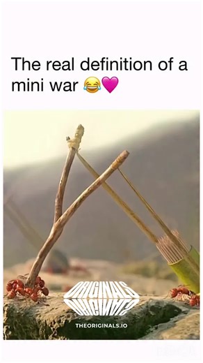 Daily Movie Cuts on Instagram: "In a tiny world, the greatest adventures begin. 🎬 About: Minuscule: Valley of the Lost Ants Minuscule: Valley of the Lost Ants follows a brave ladybug caught between rival ant colonies after discovering a box of sugar cubes. Without dialogue, the story unfolds through visuals, sound, and clever storytelling, turning small creatures into epic heroes. Charming and inventive, the film celebrates teamwork, survival, and nature’s hidden wonders. 🎭 Genre: Animation, A