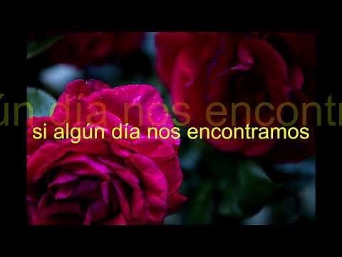 no comprendo nuestro adios los caminantes