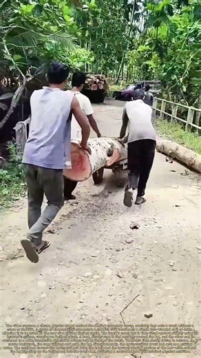 The Rolling Load: How a Truck Pulls a Log Aboard with Rope and Ramp