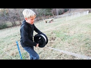 DIY Electric Fence Reel Made Moving Sheep Easy