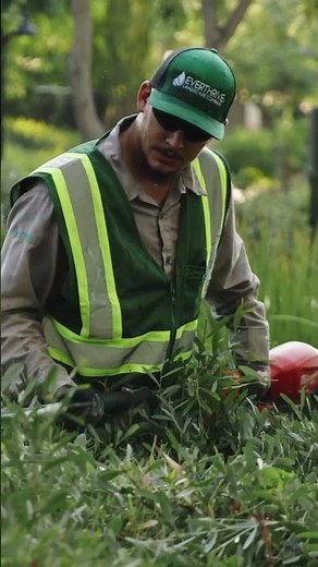 How Milwaukee Outdoor Power Equipment is helping Everthrive Landscape Company be more efficient.