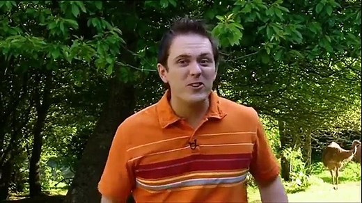 Boogie Beebies - English - Full Episodes - Kangaroo