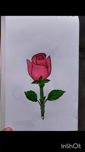 Beautiful rose painting #drawing #art #shorts