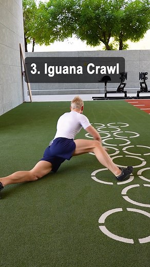 4 powerful animal crawls that build serious pressing strength while unlocking spine and hip mobility. These primal movement patterns target the big pressing muscles but also the deep stabilizers of the shoulders, spine, and pelvis — developing strength that transfers directly into handstands, push-ups, martial arts, and full-body athleticism. Discover the entire movement method at Movement20XX.com — See you there! | VAHVA Fitness