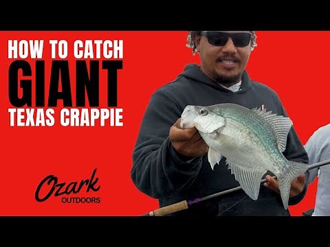 How To Catch Giant Texas Crappie | Lake Limestone | Zach Minnix and Jordan Sanders | Ozark Outdoors