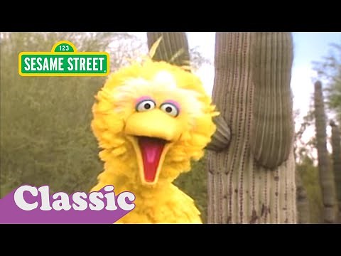 Big Bird's Video Postcard: Arizona | Sesame Street Classic