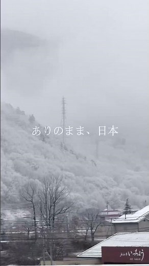 Snowy Train Ride Through Nagano | 長野新幹線 雪景色の列車旅