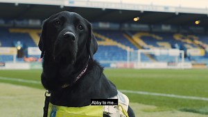 366K views · 1.4K reactions | A relationship with a father, a football club and a local community – all enabled by a very special dog. In the last of our series with Mundial, we meet Mansfield Town Football Club fan Nathan and his guide dog Abby. . [AD version: https://youtu.be/mFB6VE8l3kY] | Guide Dogs UK | Facebook