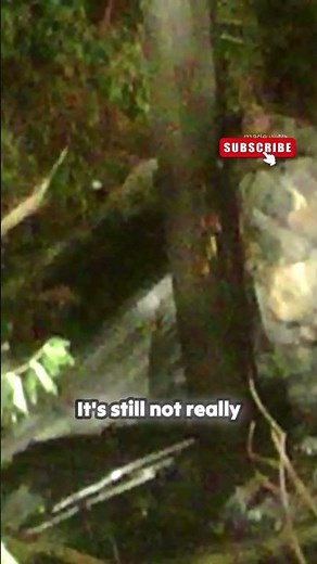 THE TRAGIC DEATH OF RYAN DUNN – WHAT REALLY HAPPENED? 💔