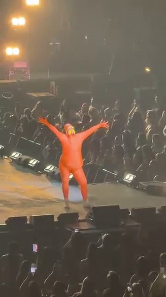 when the All American Rejects see the Lorax in the crowd & bring them on stage!